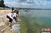 武威云南江川举行增殖放流活动 逾54万尾鱼游入星云湖